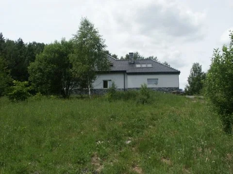 Zdjęcie z galerii